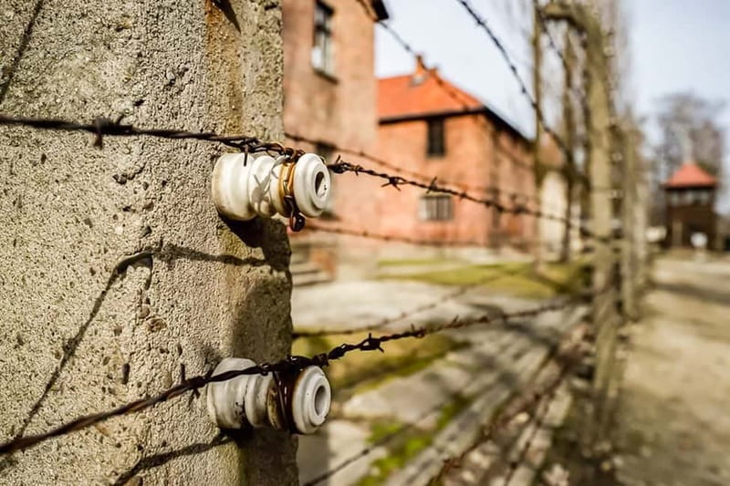Auschwitz-Birkenau Skip-the-Line Guided Tour - Should you book the Auschwitz-Birkenau guided tour?