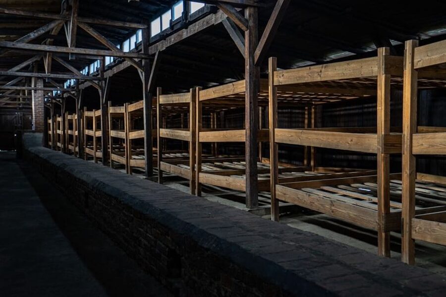 Auschwitz-Birkenau Skip-the-Line Ticket and Guided Tour - Why a guide matters at Auschwitz-Birkenau