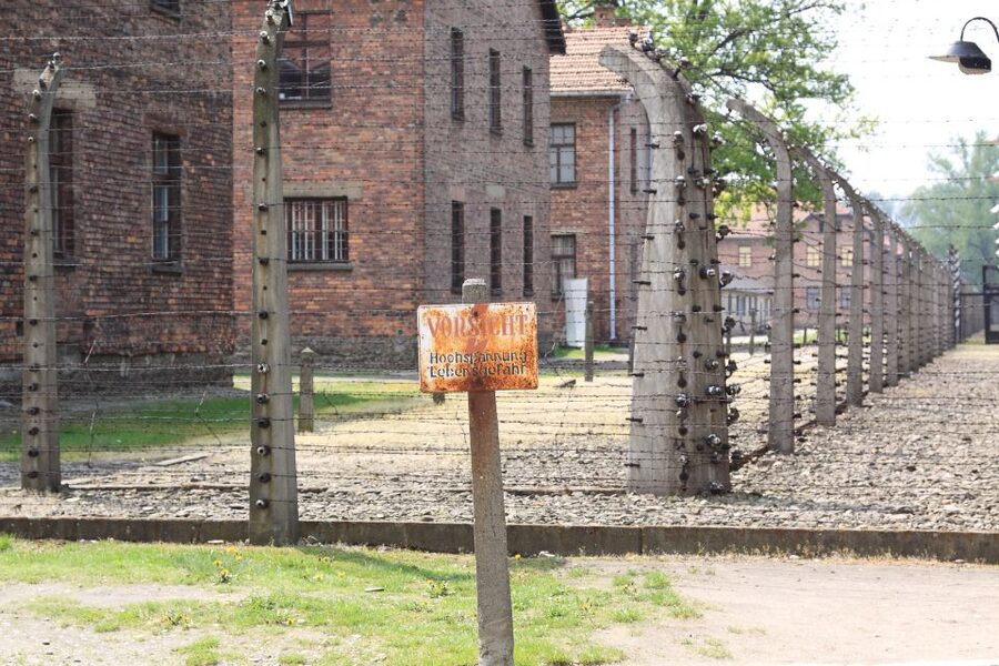 Auschwitz-Birkenau Tour from Katowice with Private Transfers - Group size, timing, and the $219 price