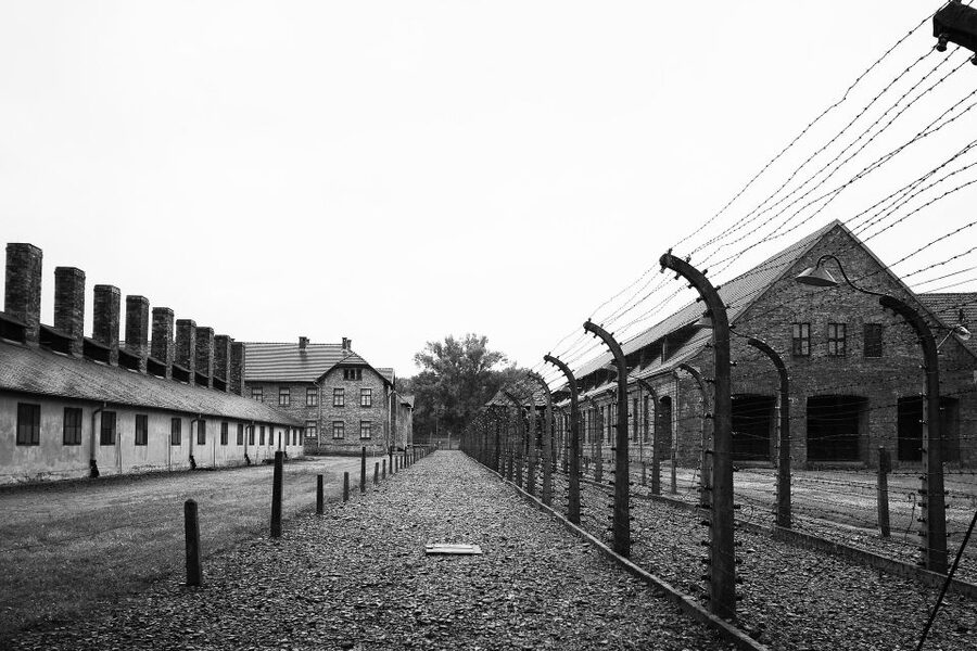 Auschwitz-Birkenau Tour from Katowice with Private Transfers - Who should book this tour
