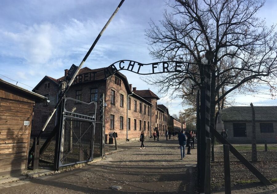 Auschwitz-Birkenau Tour from Wroclaw - What the guide adds