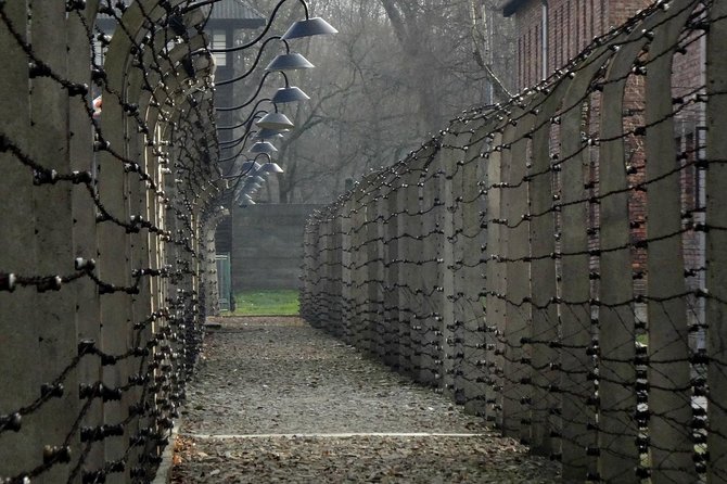Auschwitz-Birkenau Tour from Wroclaw - Meeting at Cinema New Horizons