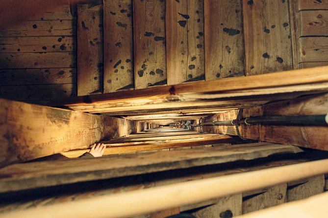 Auschwitz-Birkenau & Wieliczka in one day (Guided tour) - Two powerful Polish sites in one very full day