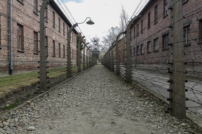 Auschwitz-Birkenau & Wieliczka in one day (Guided tour) - Transport, timing, and group size