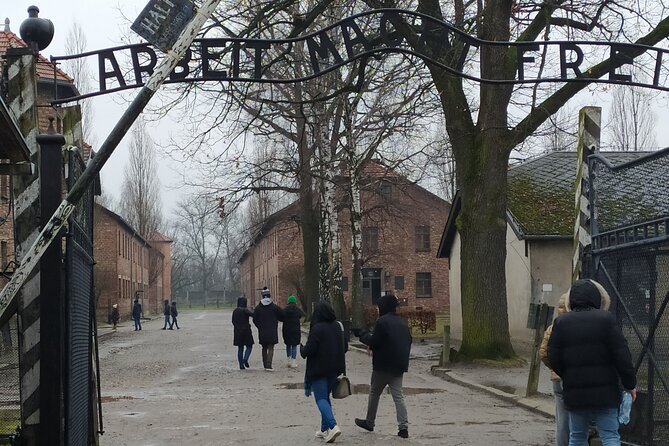 Auschwitz Museum and Salt Mine Tour with Private Transport - The journey to Auschwitz-Birkenau