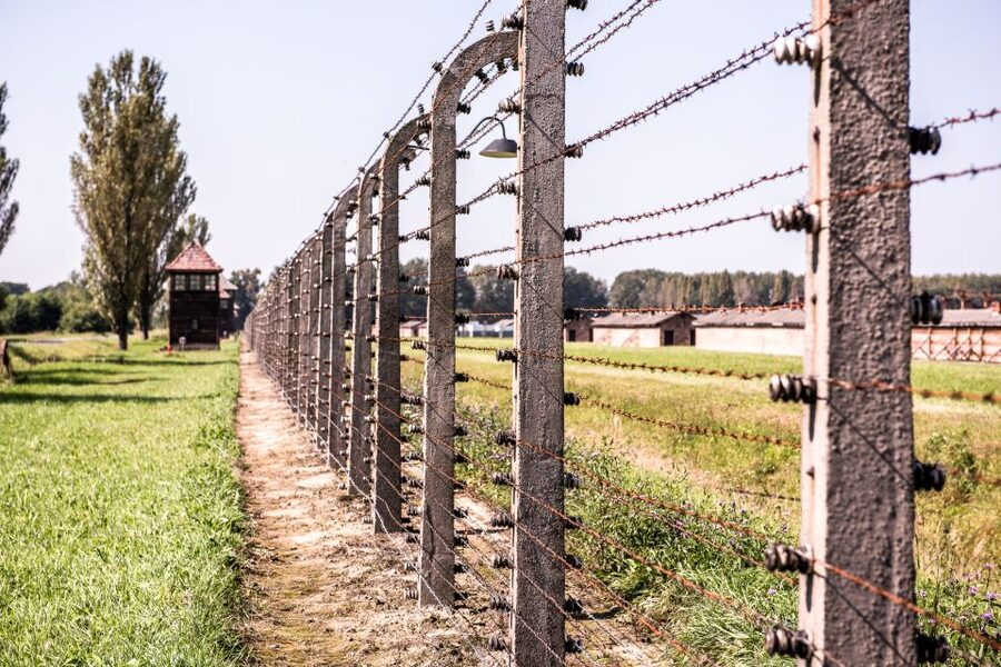 Auschwitz Ticket and Full-Day Tour from Krakow - What the $96 price really covers