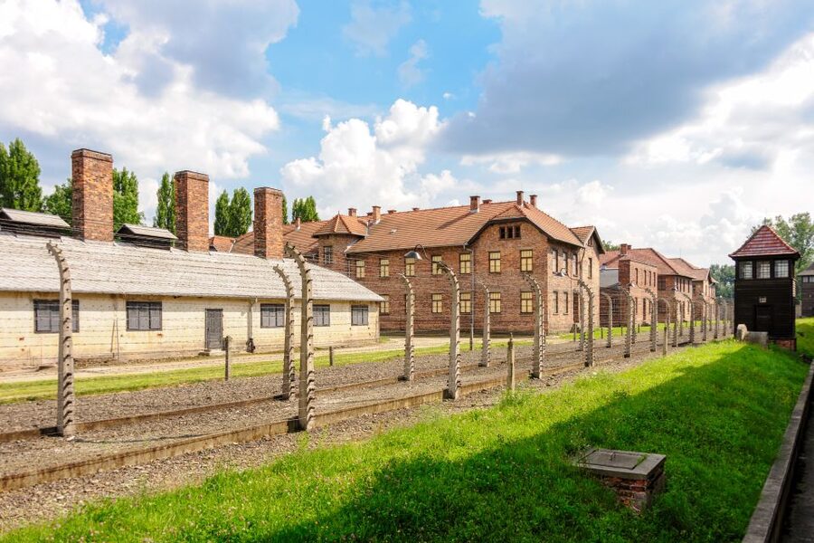 Auschwitz Ticket and Full-Day Tour from Krakow - Who this Auschwitz tour suits best