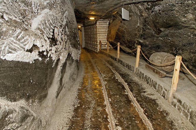Auschwitz & Wieliczka ONE DAY Guided Tour +Private Transportation - Birkenau and the short transfer