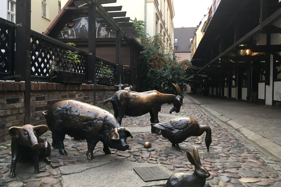 Best of Wroclaw 3-Hour History and Culture Walking Tour - Meeting Wroclaw in Market Square