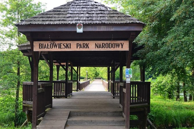 Bialowieza National Park Small Group Tour from Warsaw with Lunch included - Three hours inside the Strict Protection Reserve