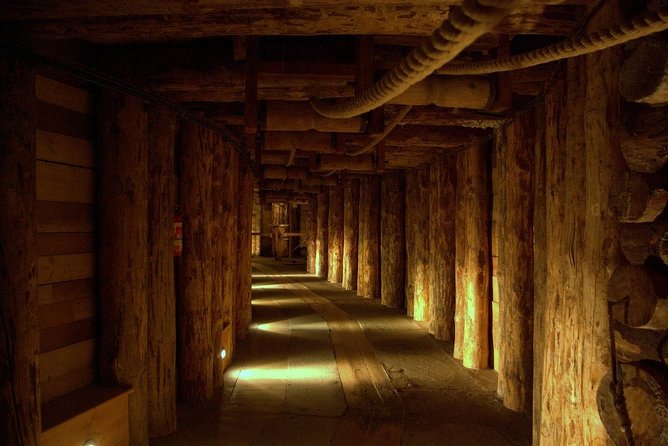 Combined: Auschwitz Birkenau and Salt Mine private chauffeur from Krakow - Auschwitz: a serious two-hour museum visit