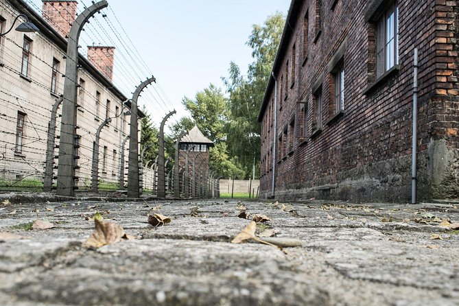 Combined: Auschwitz Birkenau and Salt Mine private chauffeur from Krakow - Leaving Krakow in a private car