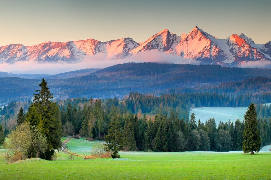 Dunajec River Gorge and Zakopane: Full-Day Trip from Krakow - What the driver adds to the day