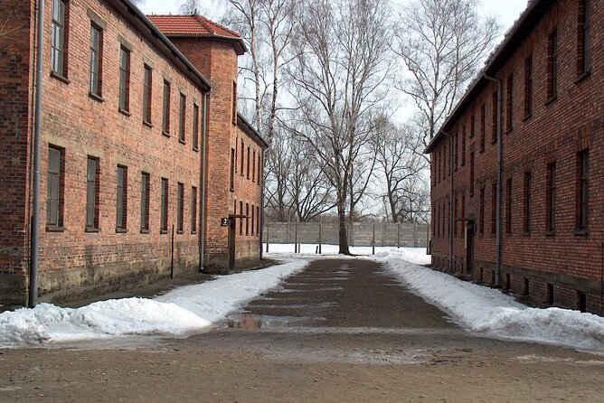 Exclusive Small Group Auschwitz-Birkenau Guided Tour from Krakow - What the 7.5-hour day actually feels like