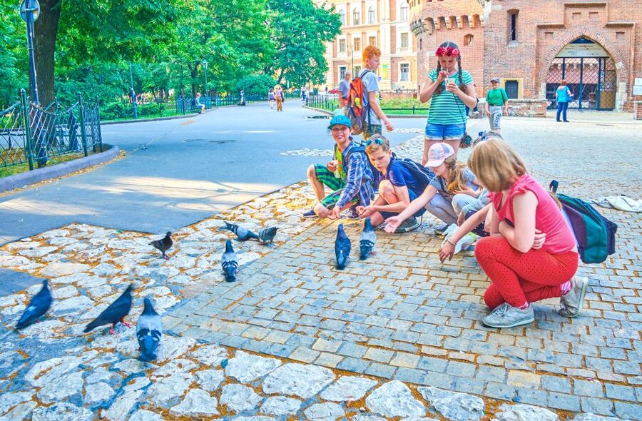 Family Tour of Krakow Old Town with Sweets Factory & Cruise - Starting at Krakow’s Barbican with a royal mission
