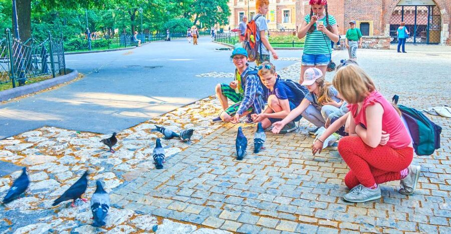 Family Tour of Krakow Old Town with Sweets Factory & Cruise - Churches, palaces, and the walk to Wawel Hill