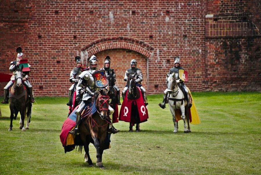From Gdansk: Malbork Castle Half-Day Private Tour - The Collection of Past Arms