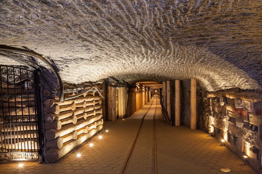 From Krakow: Auschwitz and Wieliczka Salt Mine Full-Day Trip - Practical packing advice for an 11-hour outing