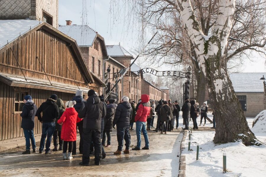 From Krakow: Auschwitz and Wieliczka Salt Mine Full-Day Trip - Birkenau adds scale and silence