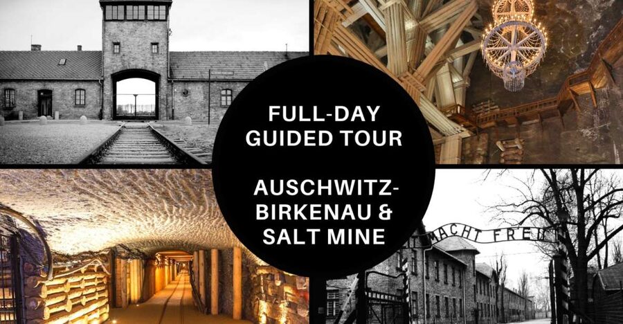 From Krakow: Auschwitz Birkenau and Salt Mine Guided Tour - Key points to know before booking