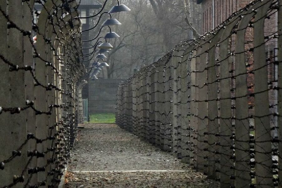 From Krakow: Auschwitz Birkenau and Salt Mine Guided Tour - How the guides and driver shape the day