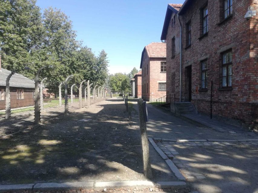From Krakow: Auschwitz-Birkenau and Self-Guided Day Tour - How to prepare for a difficult day