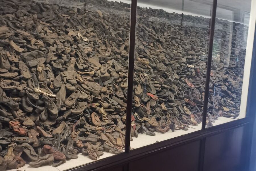 From Krakow: Auschwitz-Birkenau Camp Complex Guided Day Trip - Why Auschwitz and Birkenau Require More Than a Quick Visit