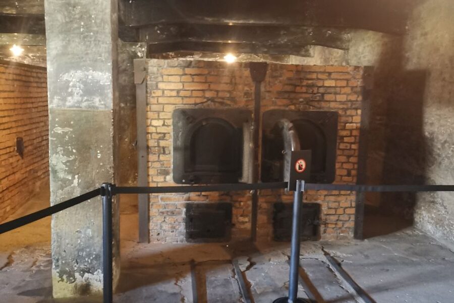 From Krakow: Auschwitz-Birkenau Camp Complex Guided Day Trip - Should You Book This Auschwitz Day Trip?
