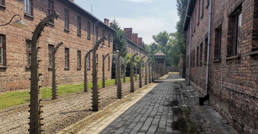 From Krakow: Auschwitz-Birkenau Camp Complex Guided Day Trip - From Prisoner Blocks to the Human Cost of the Camps