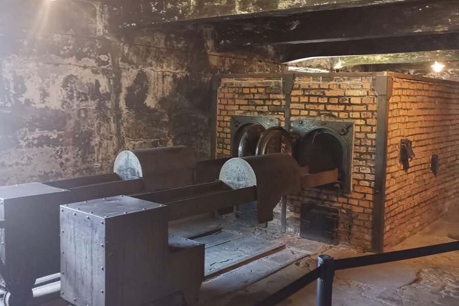 From Krakow: Auschwitz-Birkenau Camp Complex Guided Day Trip - Birkenau Shows the Scale of the Camp System