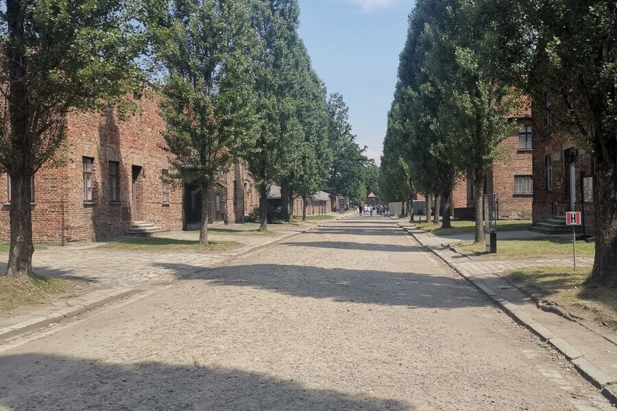 From Krakow: Auschwitz-Birkenau Camp Complex Guided Day Trip - Understanding Monowitz Without Adding Another Long Stop