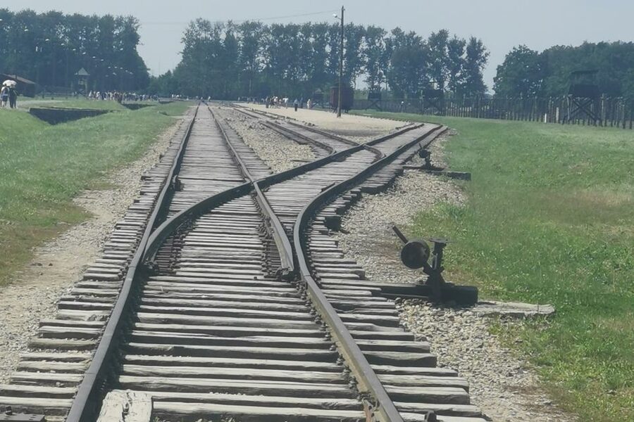 From Krakow: Auschwitz-Birkenau Camp Complex Guided Day Trip - What the $83 Price Covers