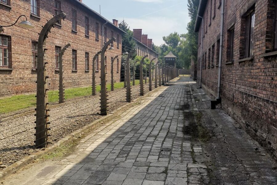 From Krakow: Auschwitz-Birkenau Camp Complex Guided Day Trip - Practical Rules for a Respectful Visit