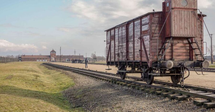 From Krakow: Auschwitz-Birkenau Full-Day Guided Tour - Block 11 and the surviving gas chamber