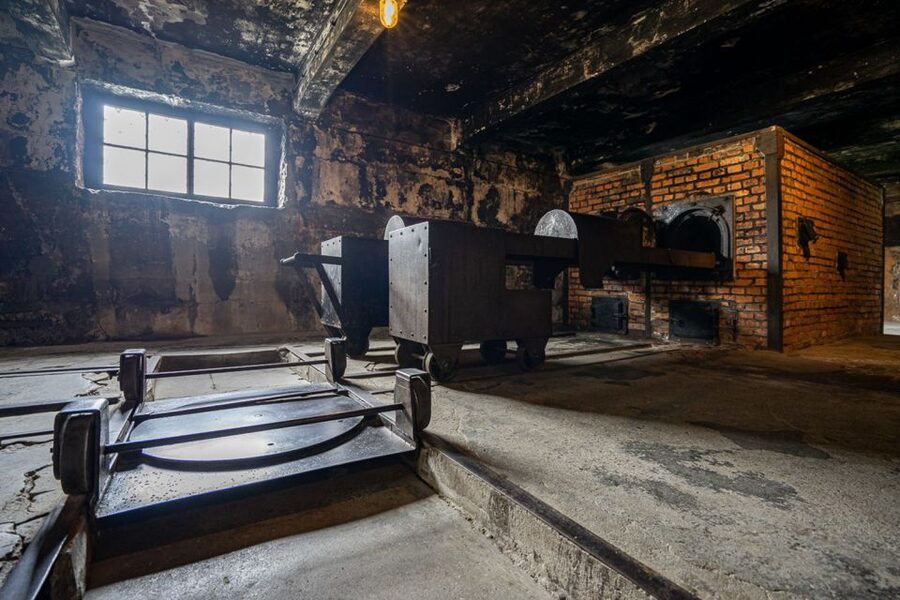 From Krakow: Auschwitz-Birkenau Full-Day Guided Tour - What the $89 price includes