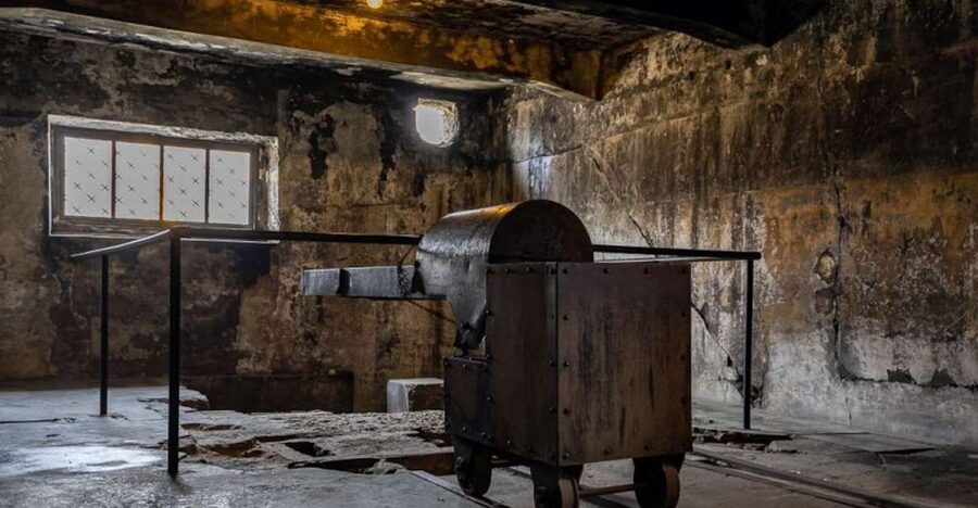 From Krakow: Auschwitz-Birkenau Full-Day Tour - Why this visit matters