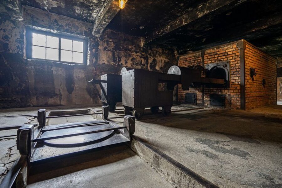 From Krakow: Auschwitz-Birkenau Full-Day Tour - The guide makes the difference