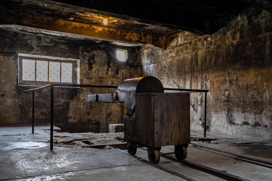 From Krakow: Auschwitz-Birkenau Full-Day Tour - Leaving Krakow for a seven-hour day
