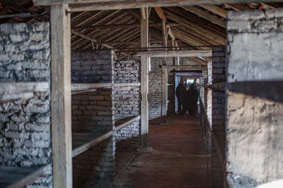 From Krakow: Auschwitz-Birkenau Guided Full-Day Tour - How the guides shape the experience