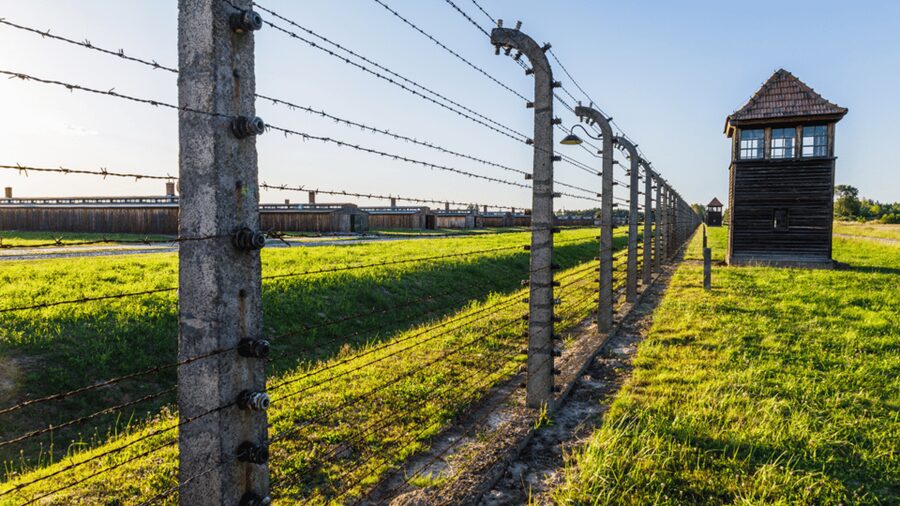 From Krakow: Auschwitz-Birkenau Guided Tour Guaranteed Time - The short break between the two camps