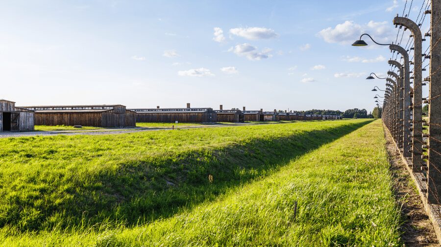 From Krakow: Auschwitz-Birkenau Guided Tour Guaranteed Time - How the guide affects the day