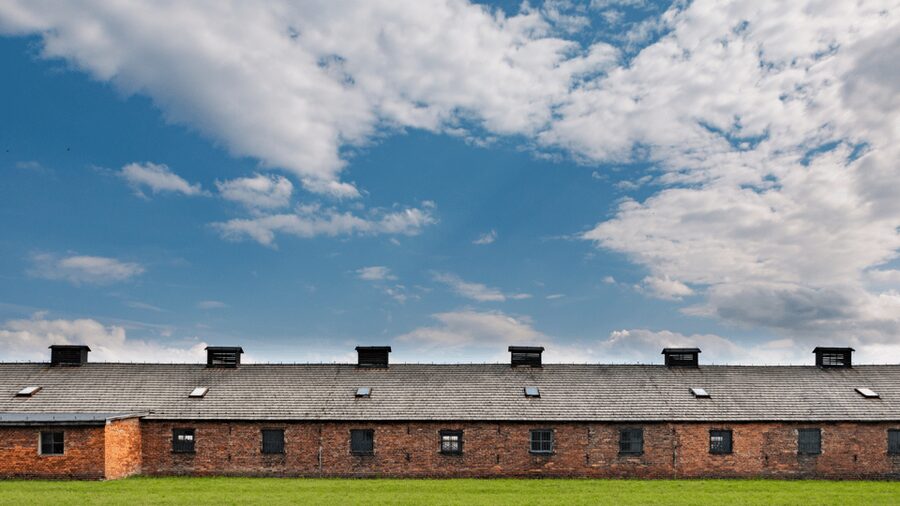 From Krakow: Auschwitz-Birkenau Guided Tour Guaranteed Time - Who should book this tour