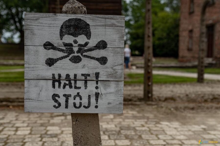 From Krakow: Auschwitz-Birkenau Guided Tour Guaranteed Time - Should you book it?