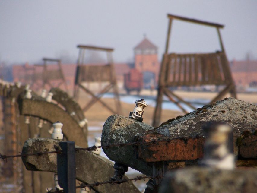 From Krakow: Auschwitz-Birkenau Guided Tour & Pickup - Who Should Book This Krakow Day Trip?