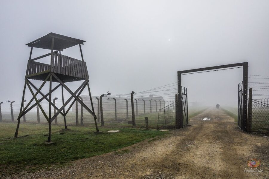 From Krakow: Auschwitz-Birkenau Guided Tour & Pickup - What the Guide Adds to the Visit