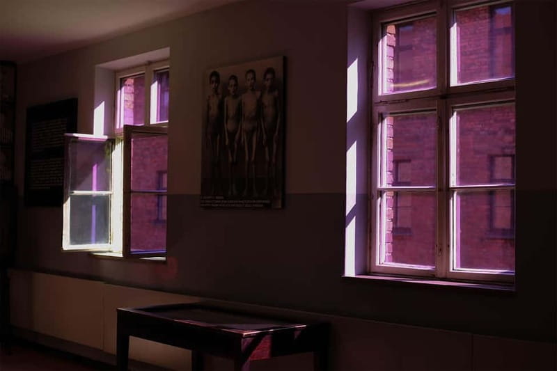 From Krakow: Auschwitz-Birkenau Guided Tour & Pickup Options - Why this Auschwitz visit needs a full day