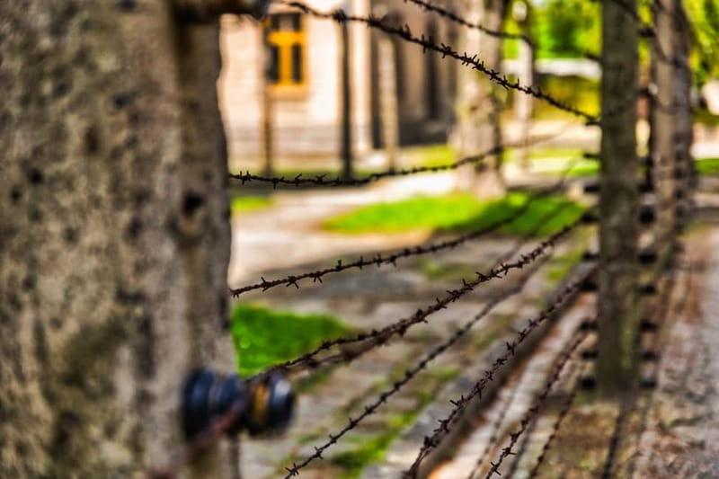 From Krakow: Auschwitz-Birkenau Guided Tour & Transport - The short transfer to Birkenau