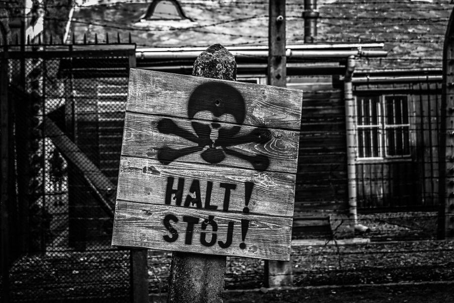 From Krakow: Auschwitz-Birkenau Guided Tour & Transport - Price and value at $93