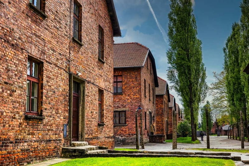 From Krakow: Auschwitz-Birkenau Guided Tour & Transport - How to prepare for a respectful visit
