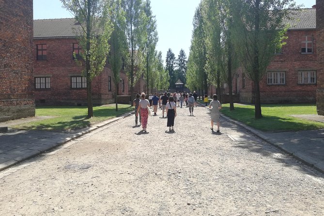 From Kraków: Auschwitz-Birkenau Guided Tour with Licensed Guide - Transport, group size, and the human side of the day